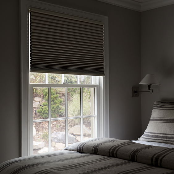 Classic Blackout Cellular Shades