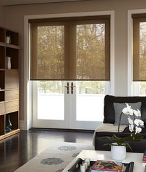 Solar shades on French doors