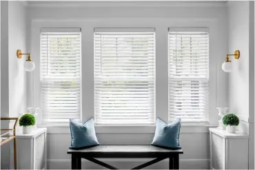Window Blinds Window Blinds